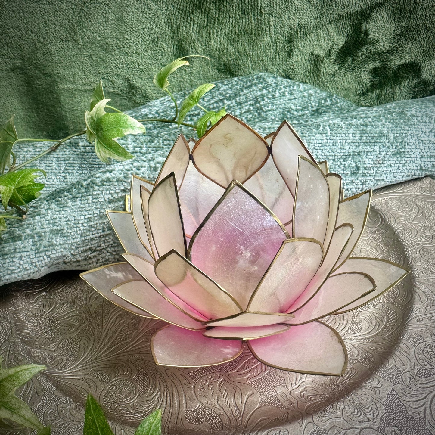 Light Pink Lotus Tea Light Candle Holder – Capiz Shell with Gold Trim (Large)