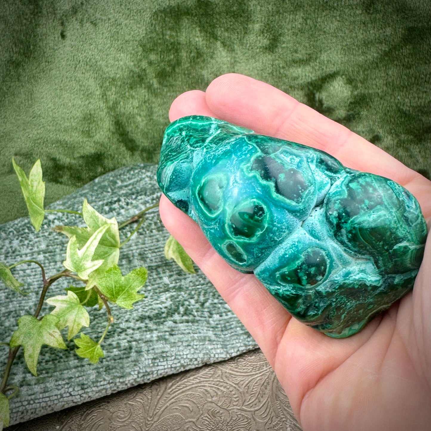 Malacolla Freeform