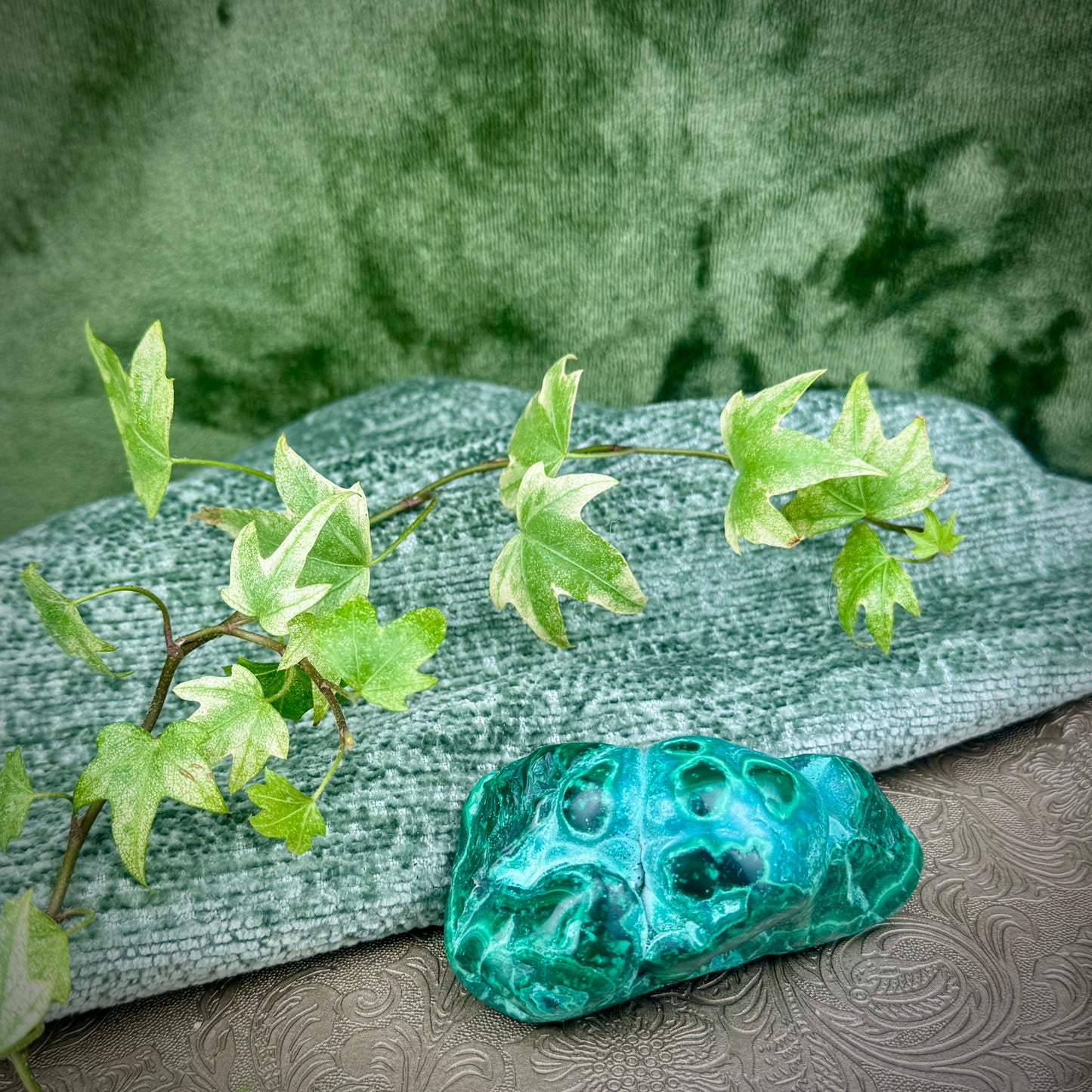 Malacolla Freeform