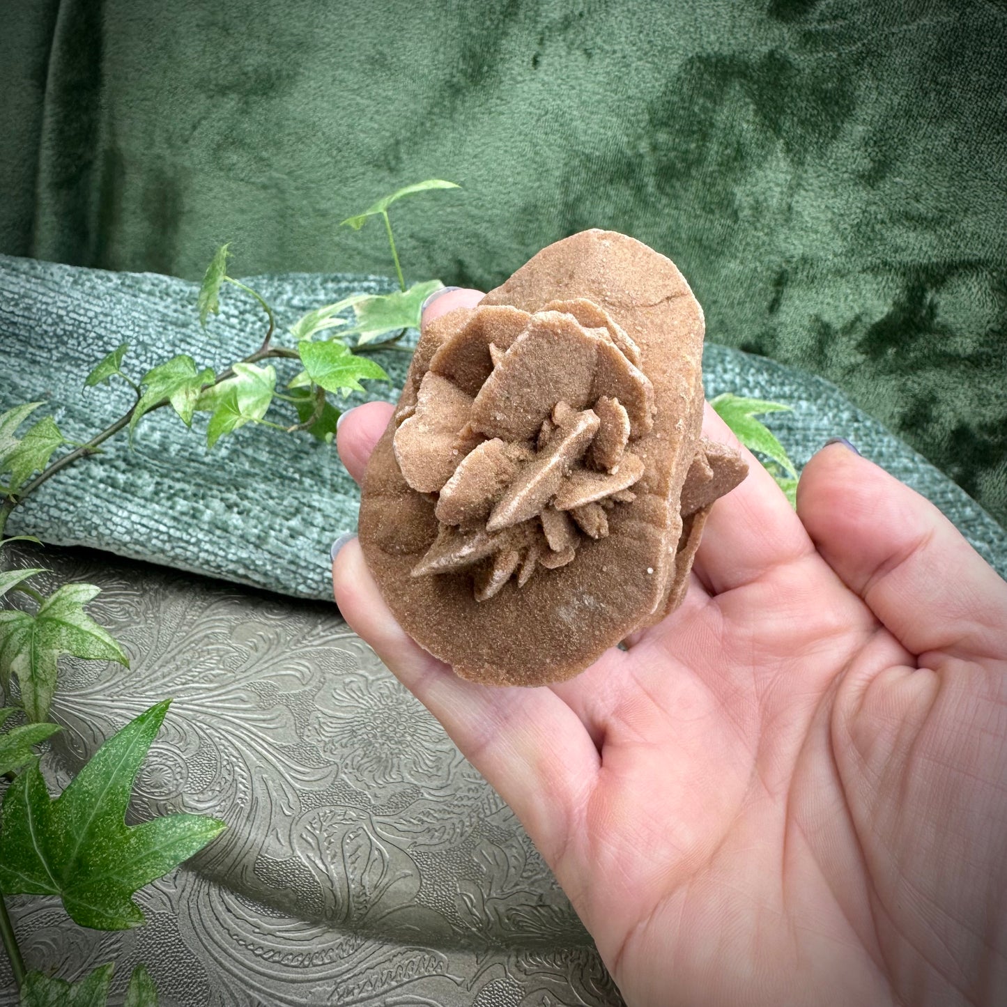 Desert Rose