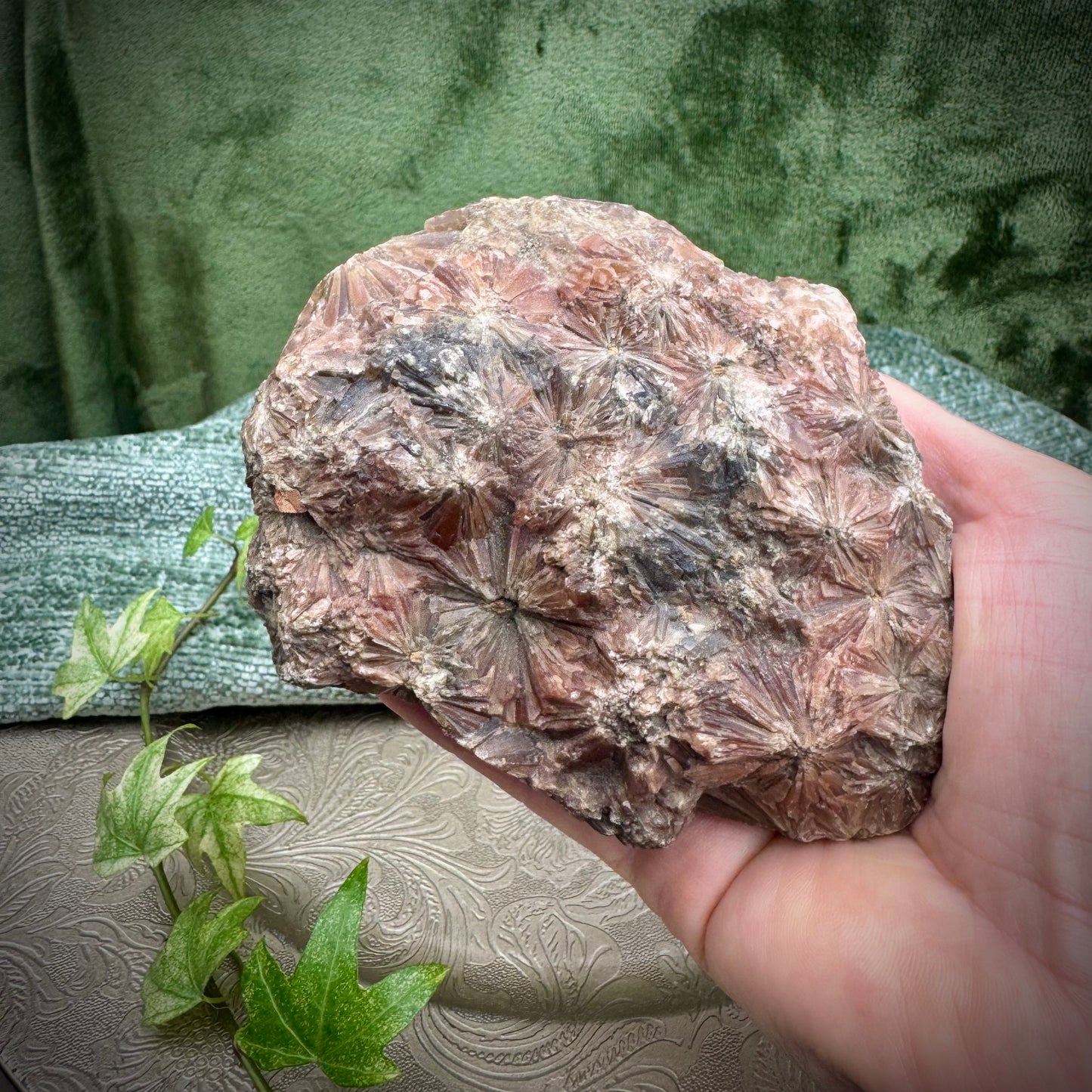 Gypsum Rosette Formation