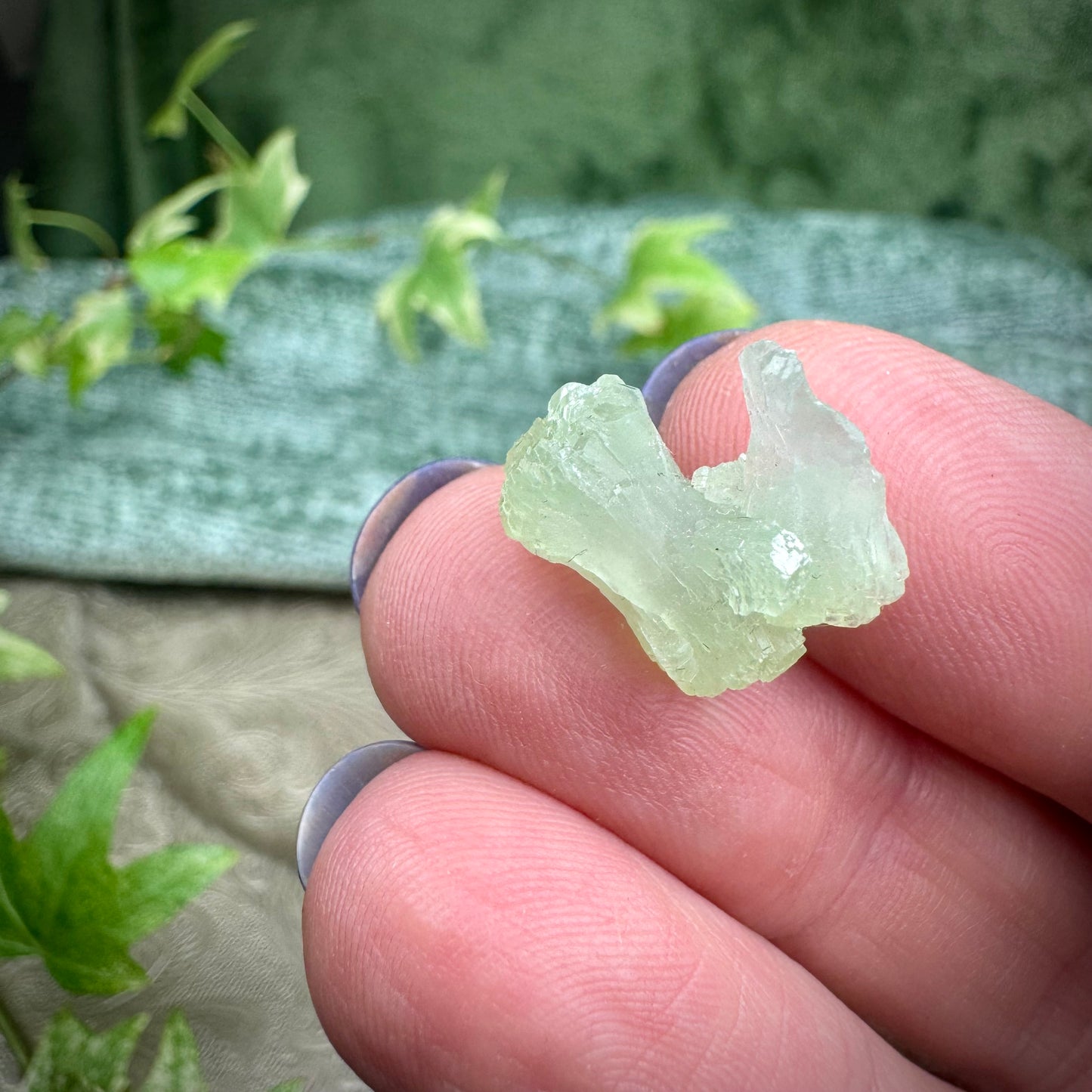 Prehnite