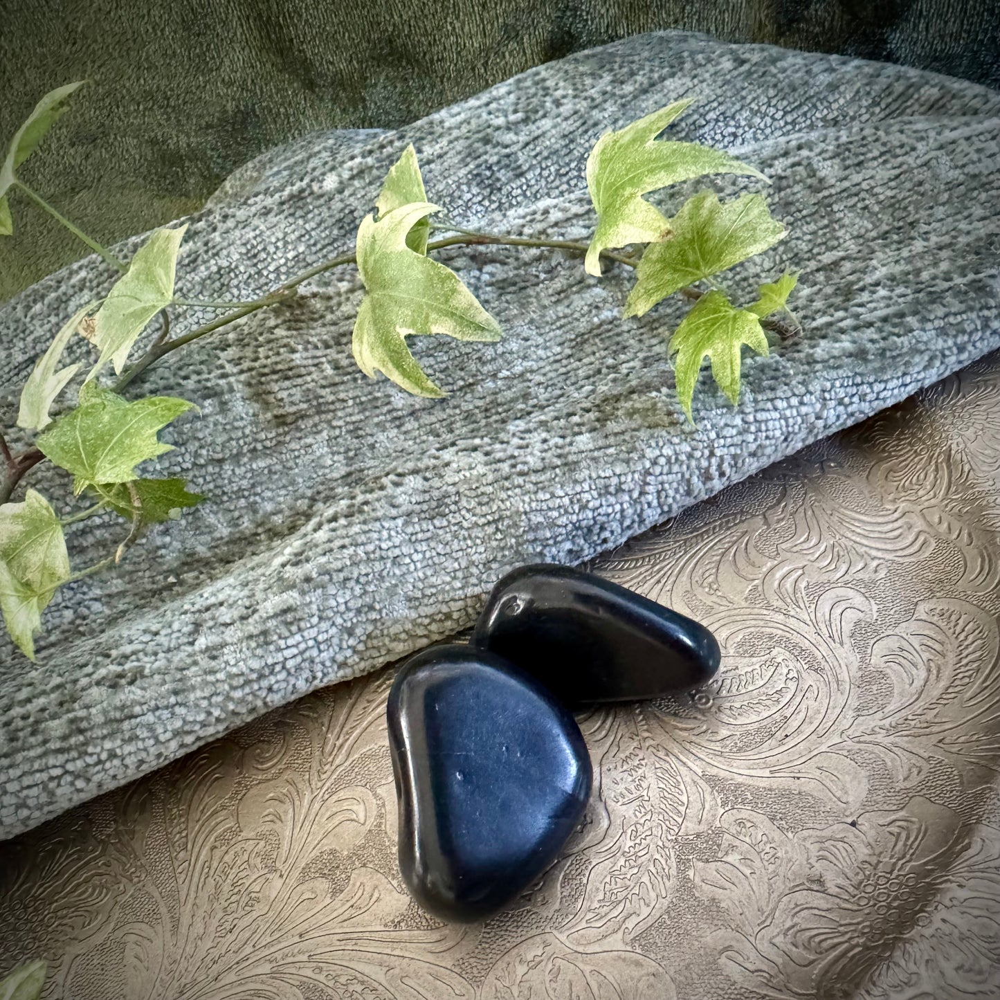 Polished Shungite