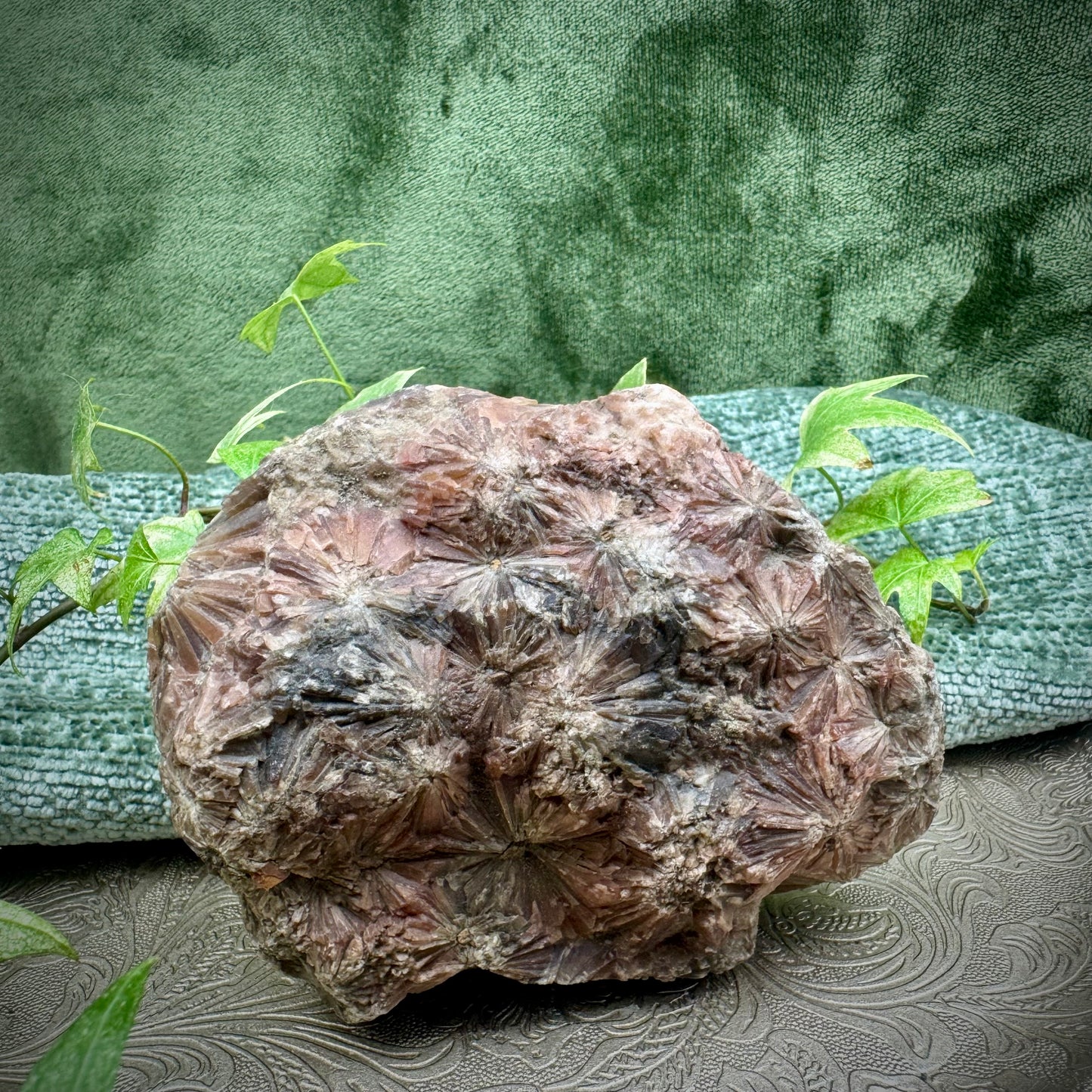 Gypsum Rosette Formation