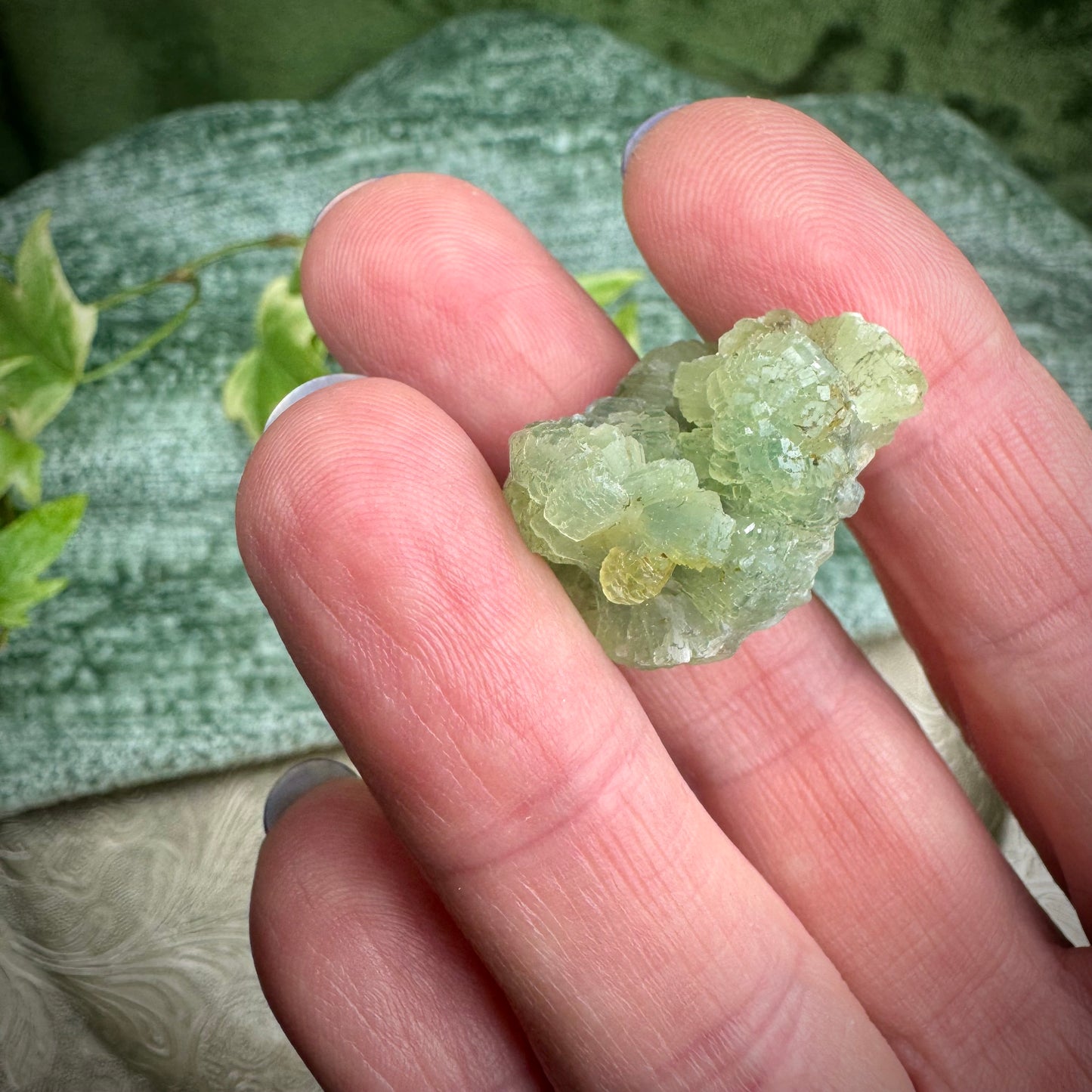 Prehnite