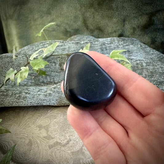 Polished Shungite