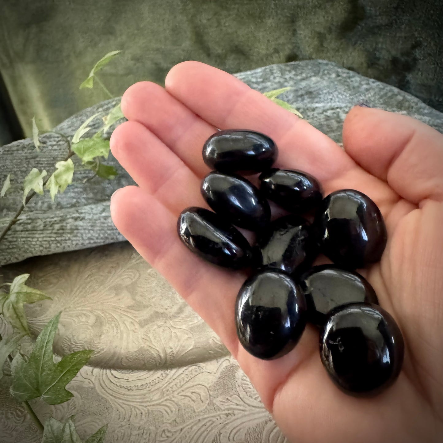 Black Tourmaline Medicine Wheel Set (9 Crystals)