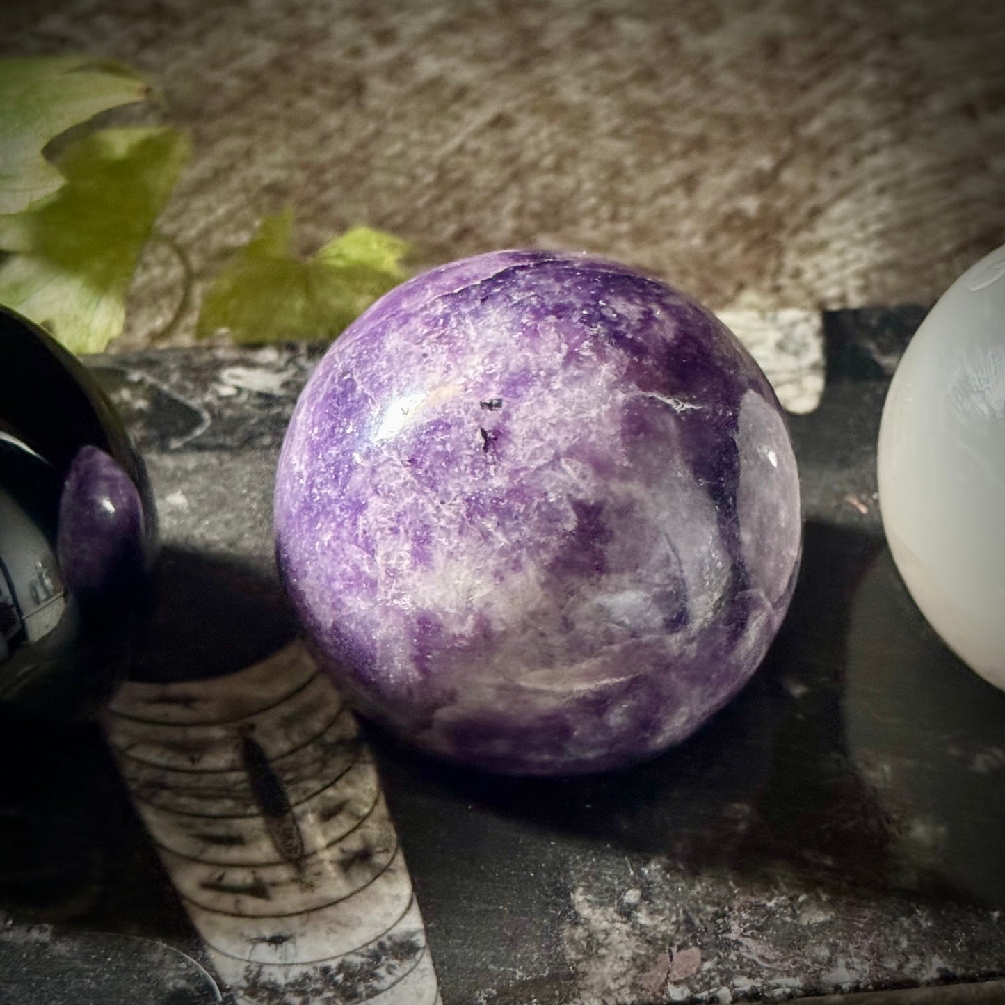 Calm In Between Light and Shadow - Trio of Lepidolite, Silver Sheen Obsidian and Selenite Spheres with Orthoceras Base