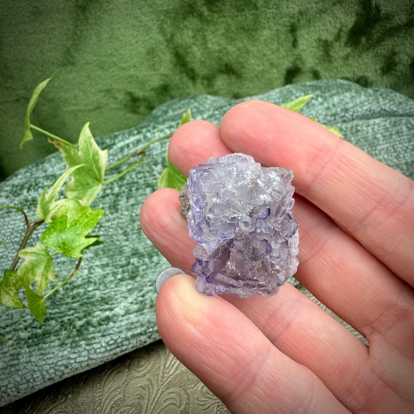 Purple Fluorite