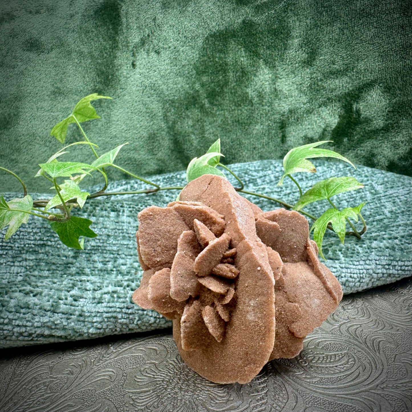 Desert Rose