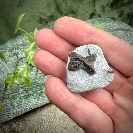 Staurolite - Fairy Cross