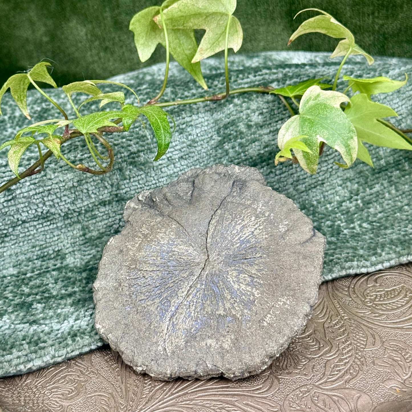 Pyrite Sun – Natural Pyrite Formation