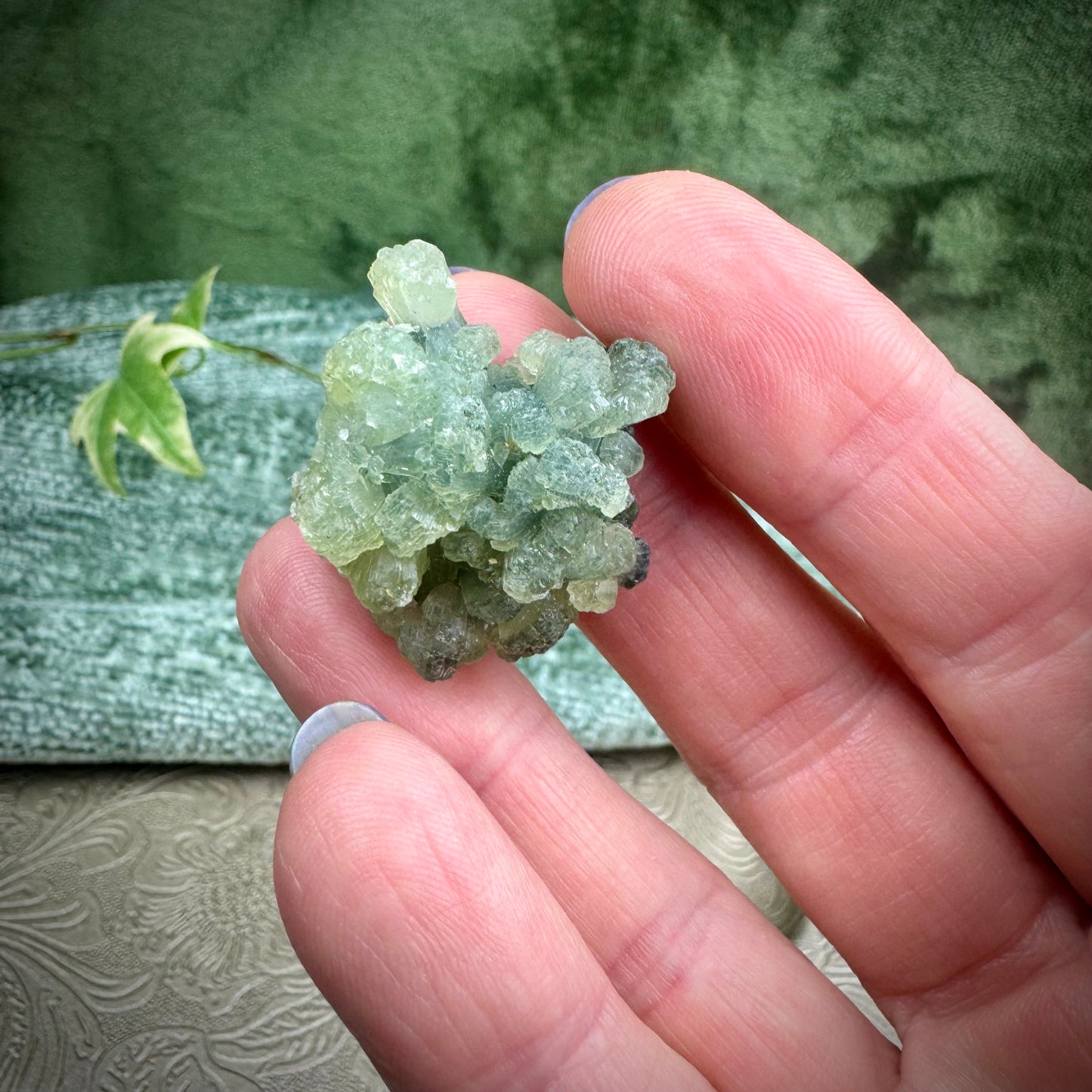 Prehnite